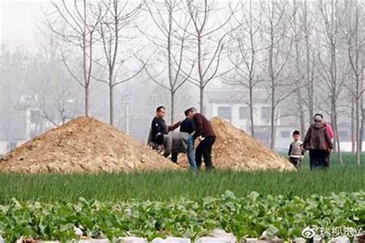 不是清明节坟墓可以添土吗
