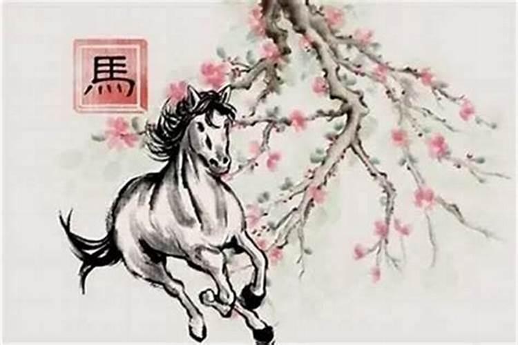 属马巨蟹座女生的性格特点