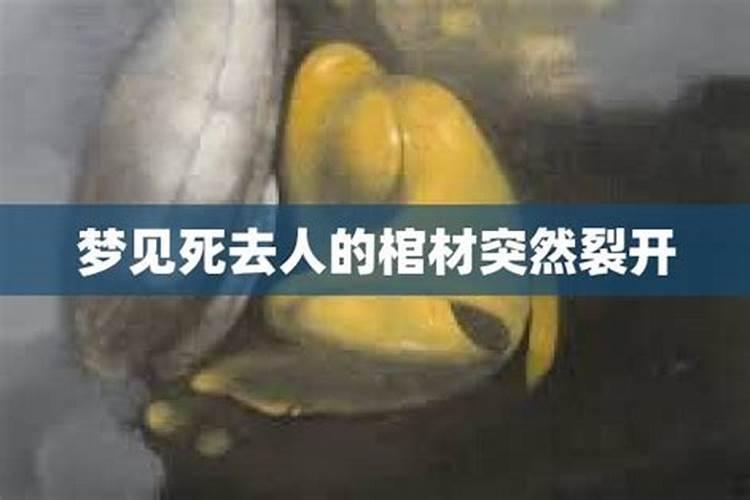 梦见自家的猫受伤的预兆
