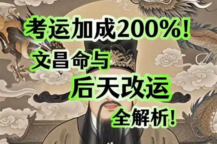 属猪和什么年犯太岁相克
