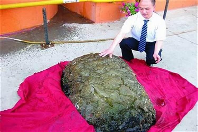 梦见兄弟吵架是什么意思？做梦梦见兄弟吵架好不好
