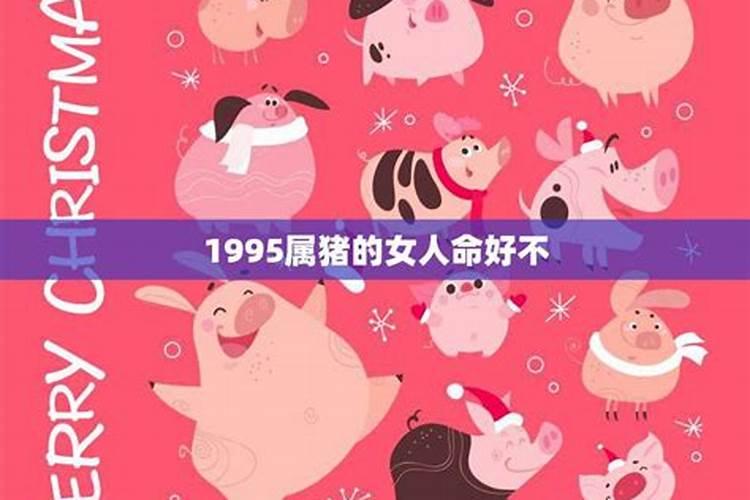 1995年属猪的2024年运势运程每月运程