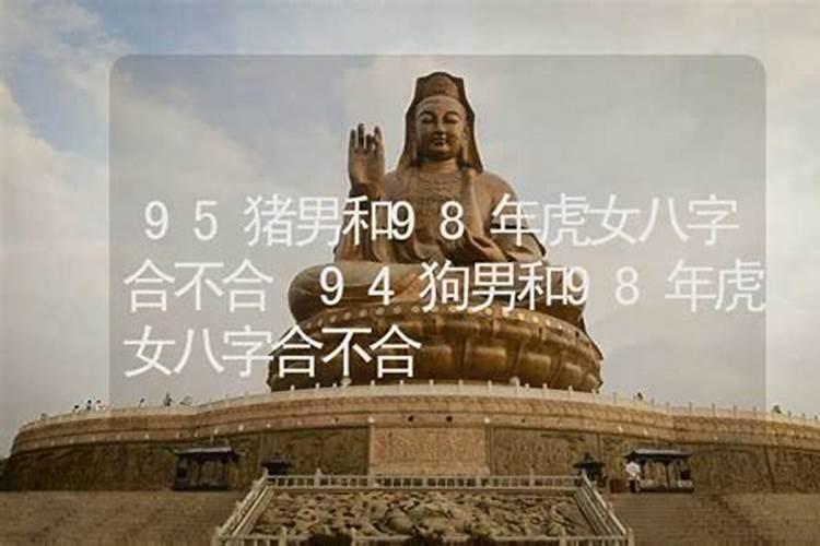 女虎男猪婚姻相配吗