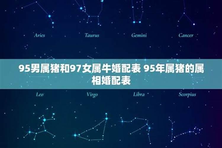 95猪男97牛女八字合不合