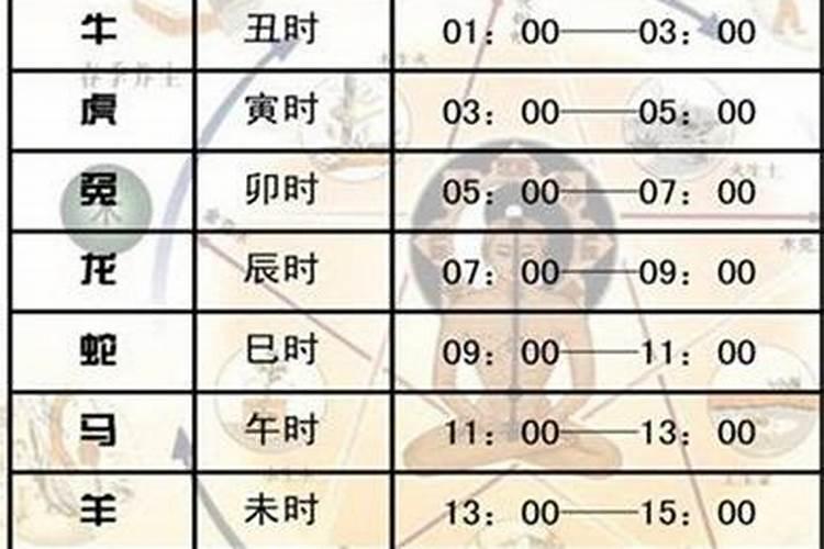 属龙的几月出生比较好