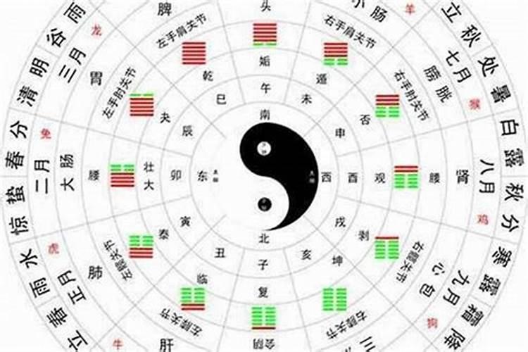 生肖猪1971年2025年运势如何 生肖猪1971年2025年全年运势