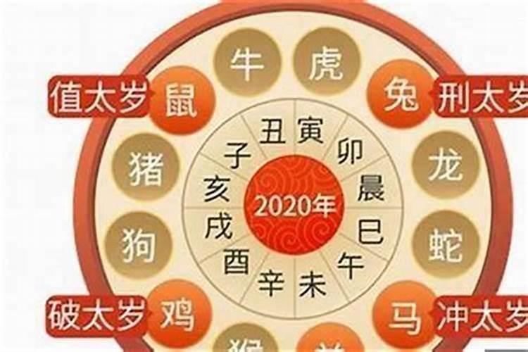 属猪的人犯太岁一览表,属猪人犯太岁年份