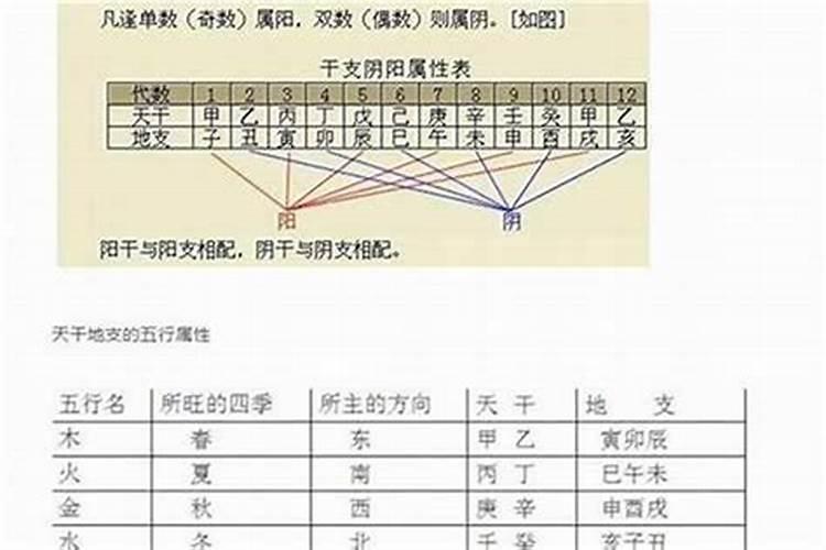 四柱八字排出来后如何看