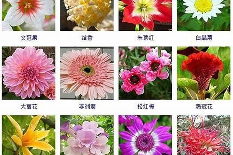 冬至有哪些传统的习俗？