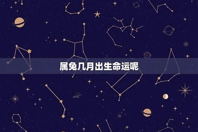 1999年农历四月属兔是什么命,终身运势走向？