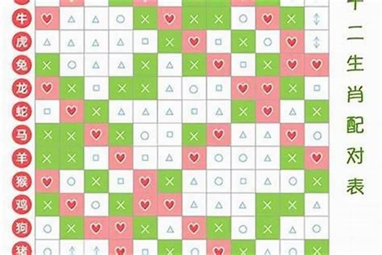 婚姻合不合看属相还是看八字 八字合婚只看属相吗