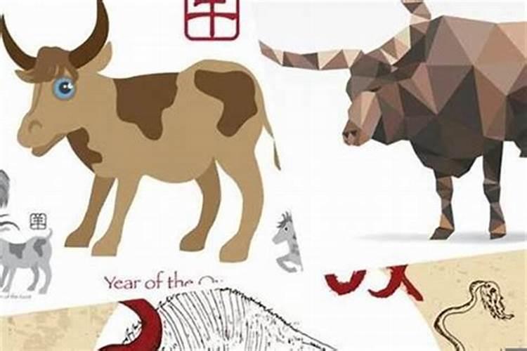 84年的鼠2025年的运势及运程