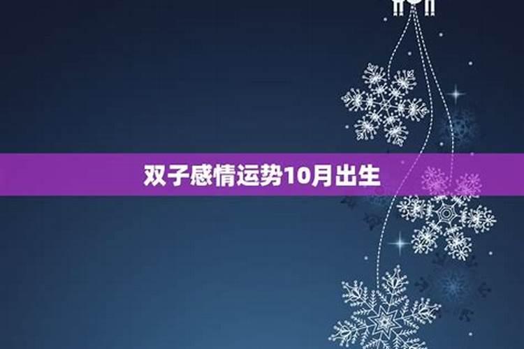 84年的鼠2025年的运势及运程