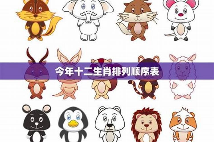 2025年6月十二生肖运势