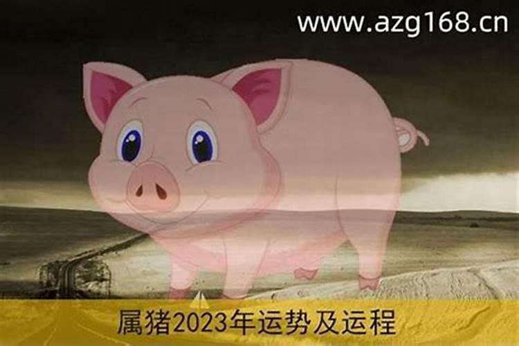 属猪人2025年全年运势及运程