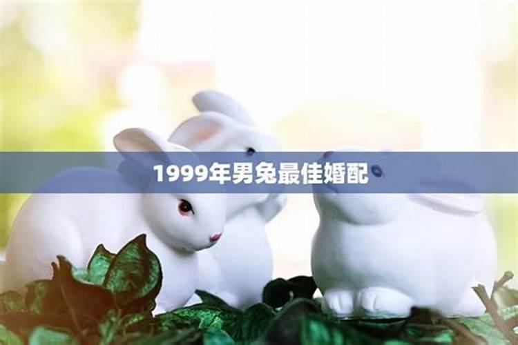 属兔男与属鸡女在一起合适吗 婚姻状况