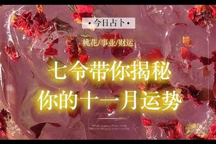 上供的鸡有什么讲究