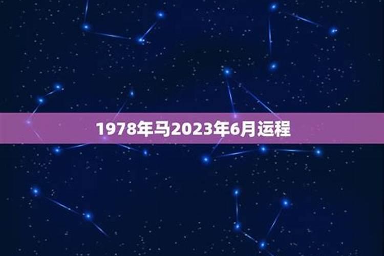78属马2025的全年运势