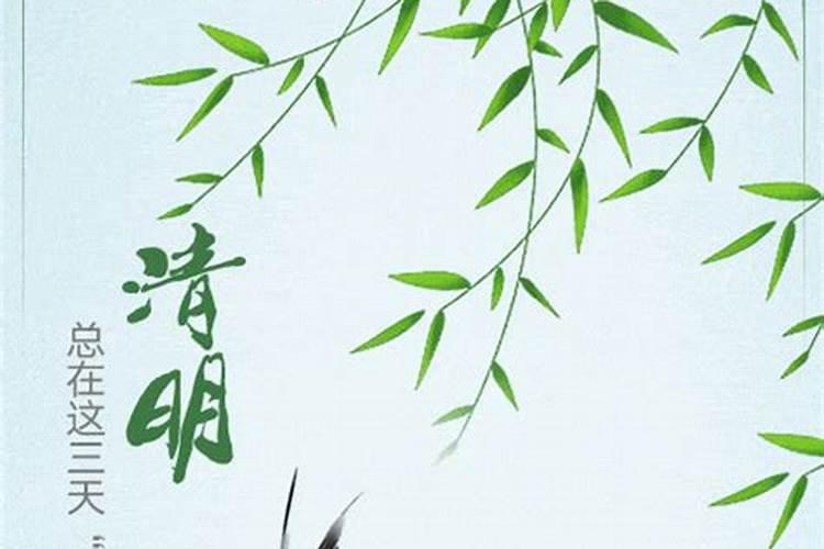 今年清明为何是4月4日出生