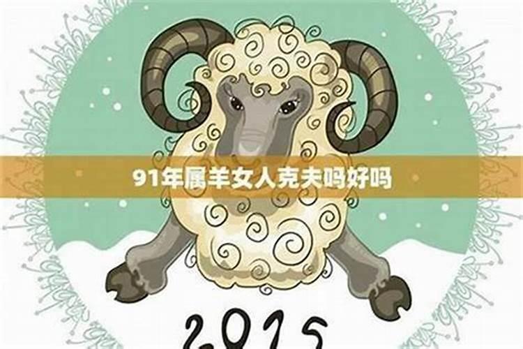 男属羊 女属狗合婚吗