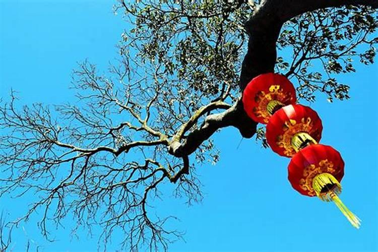 闽南冬至风俗
