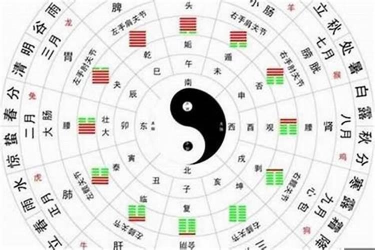 属兔1999年出生2025几岁了