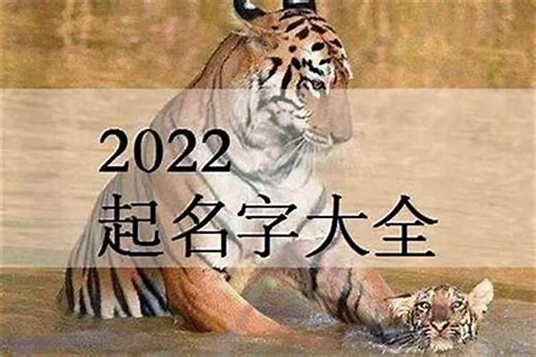 2022年正月初五出生男孩最旺名字 虎年霸气的男宝宝名字