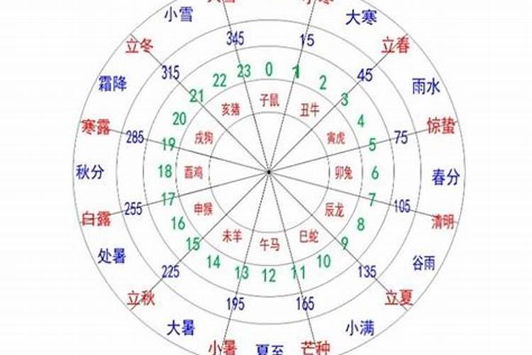 女命配偶地支寅怎么样