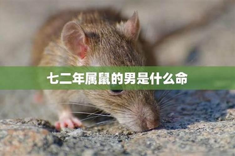 农历一九七二年六月十一卯时出生命运