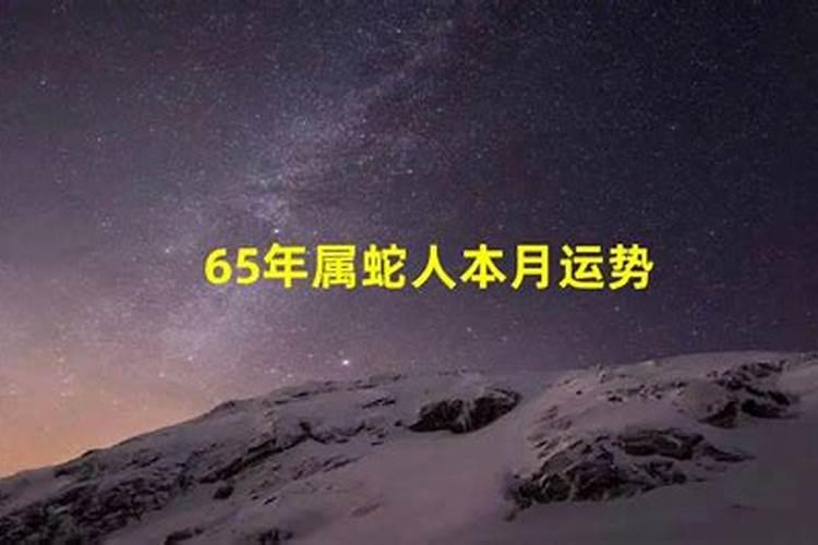 65年蛇在2025年的运势