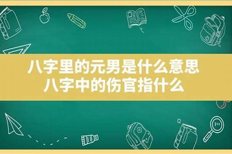 元女是什么意思