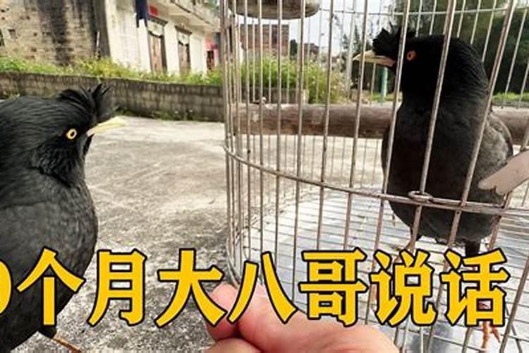 女虎和男兔在一起好不好
