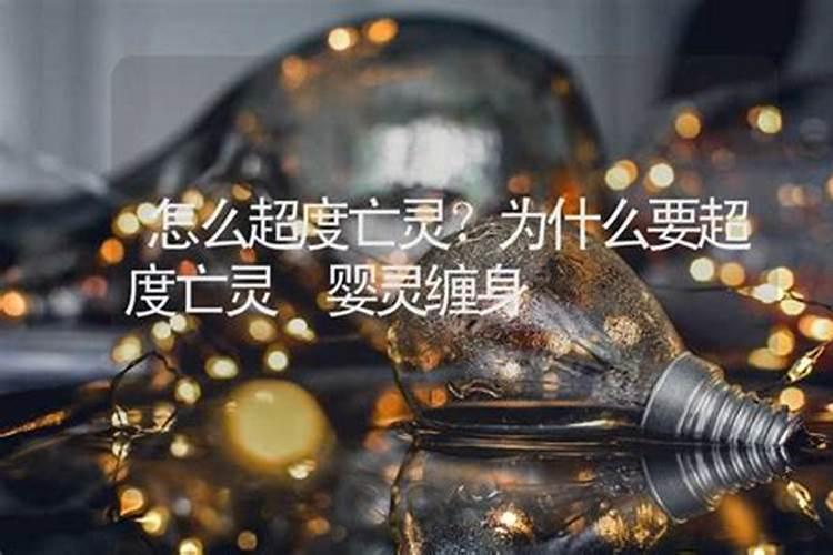 属狗男和属猪女的婚姻相配吗