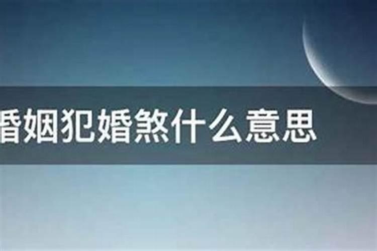 87属兔的和属蛇相最配吗？