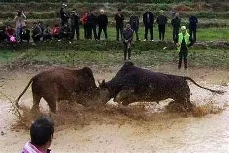 什么叫犯太岁犯太岁会怎么样