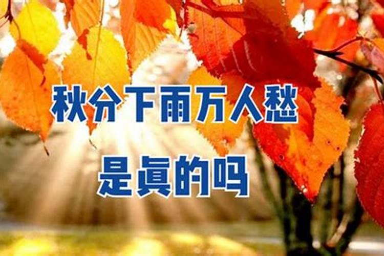 过冬至南方人和北方人有什么不同,南方人吃什么,北方人吃什么