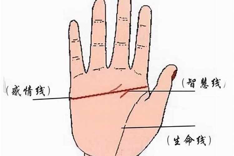 女右手掌纹智慧线断开代表什么？