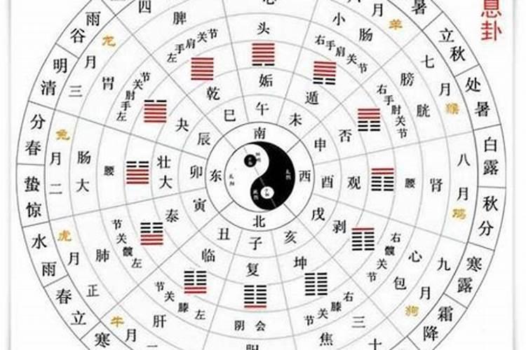 今年是几月份过年