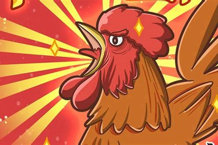 属鸡的为什么腊月出生不好 为名为利终日劳