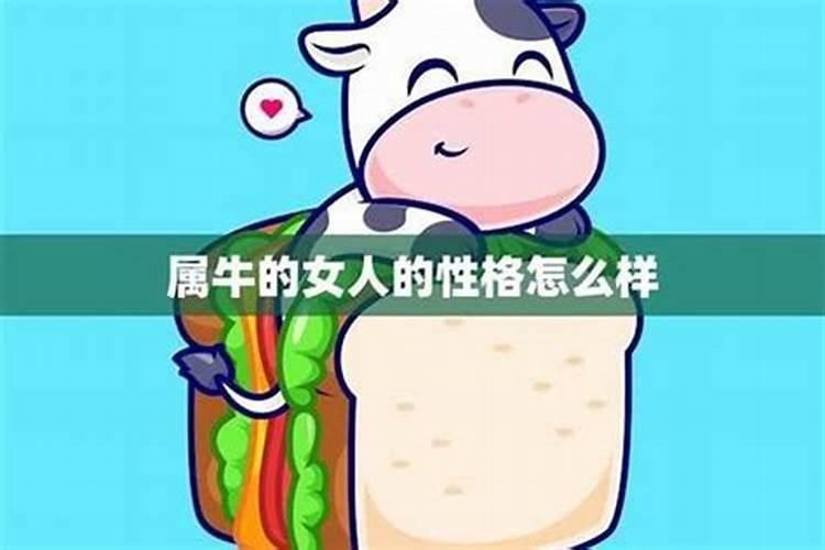属马和属牛的合不合适 男马和女牛属相合不合得来