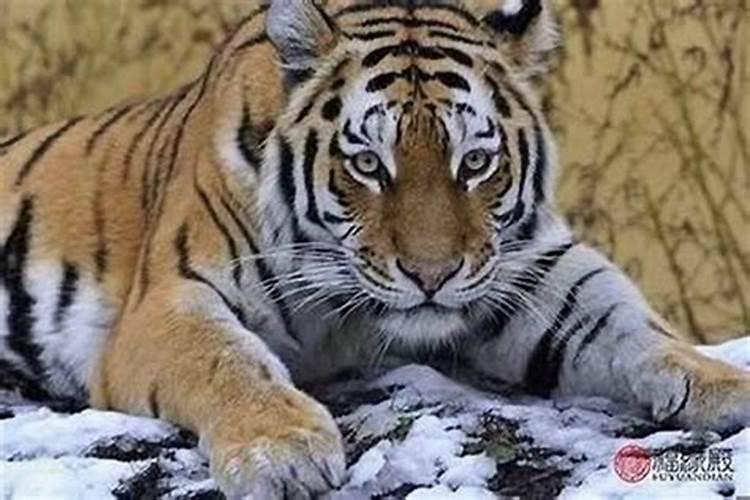 什么风水出贵人 什么样的风水出贵人