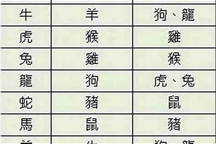 属相马和牛婚配合适吗