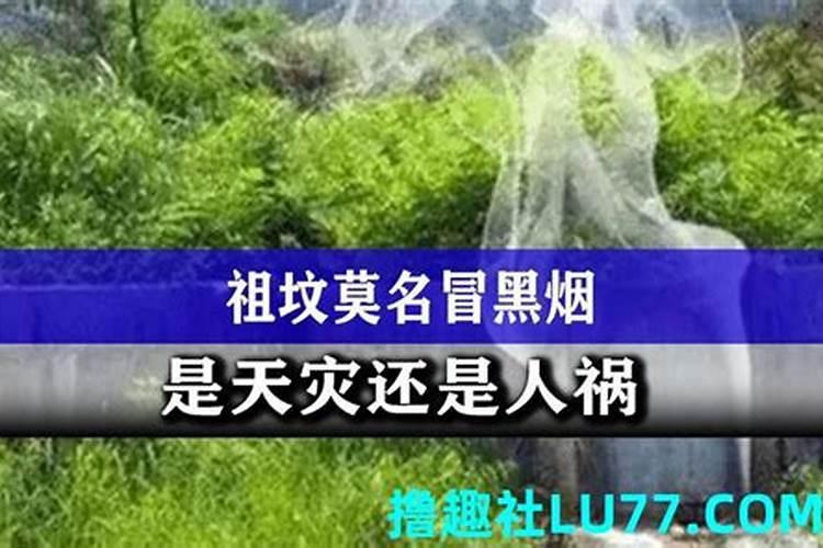 女人梦见龙是什么意思周公解梦