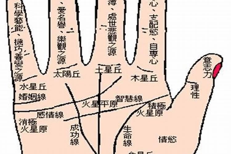 什么是偏枯命理