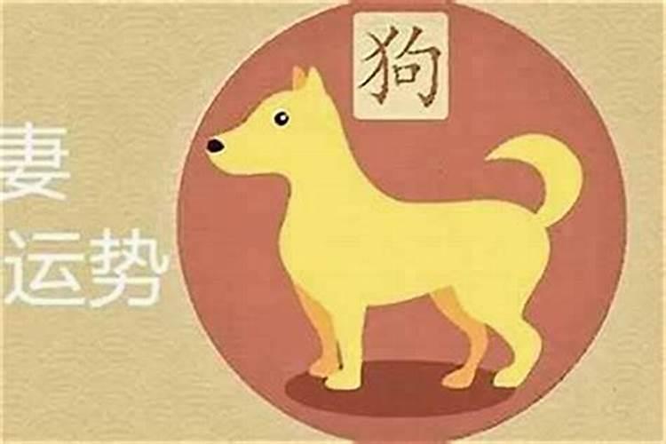 犯太岁不处理有啥后果,如何化解太岁