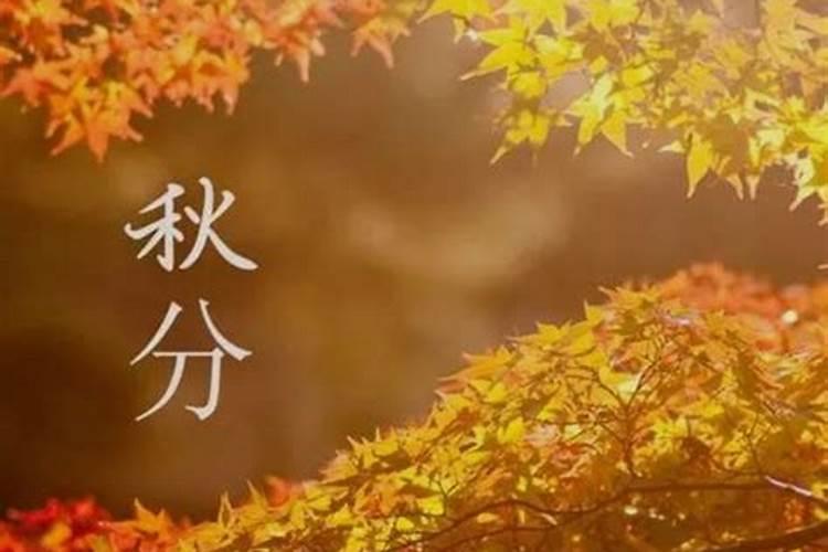 速求洛阳2路车怎么去九都路“大融合美食总汇”？在王城公园怎么去...