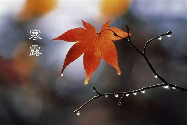 洛阳有哪些菜品种类多样的海鲜餐厅？