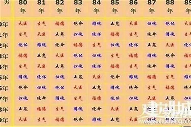 八字食伤是什么意思？