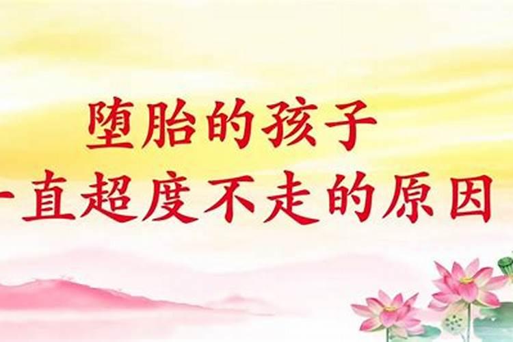 流产的婴儿有灵魂吗佛法莲蓬鬼话  百度宝宝知道