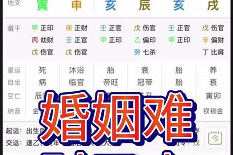 属虎2025年犯太岁吗